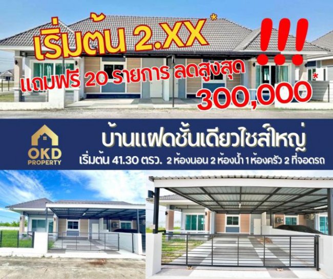 ขายบ้านแฝดพนัสนิคม ทุ่งขวาง ซ.18